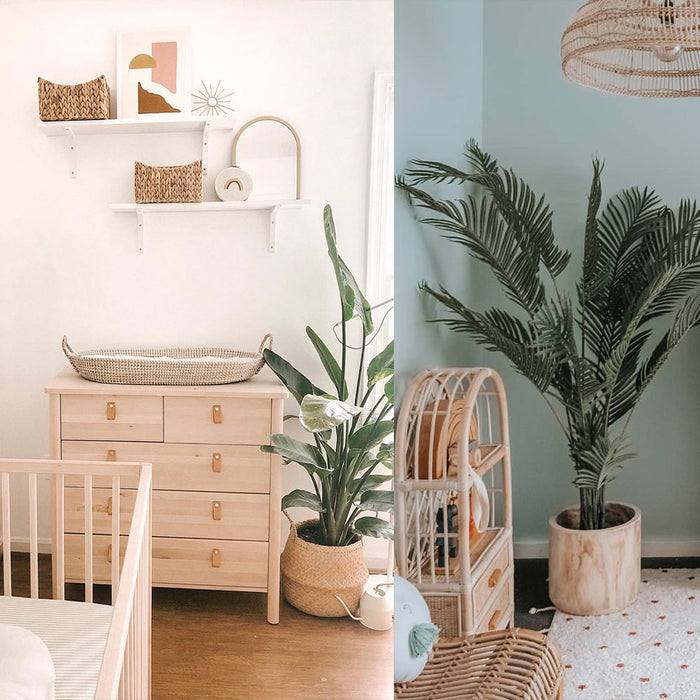 Indoor Plants for your Babies Nursery