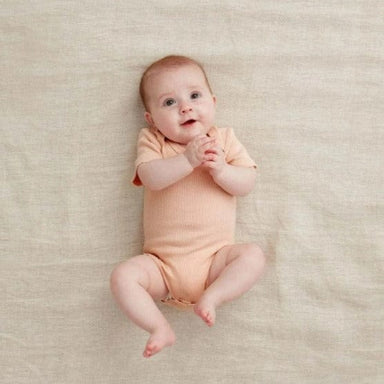 ErgoPouch Short Sleeve Bodysuit 0-3 Months Shell Clothing (Accessories) 9352240015797