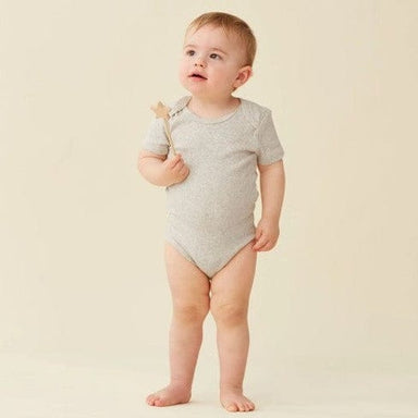 ErgoPouch Short Sleeve Bodysuit 3-6 Months Grey Marle Clothing (Accessories) 9352240015810