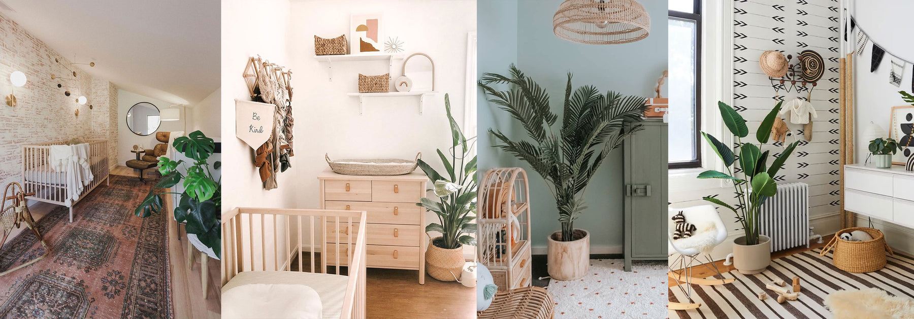 Indoor Plants for your Babies Nursery