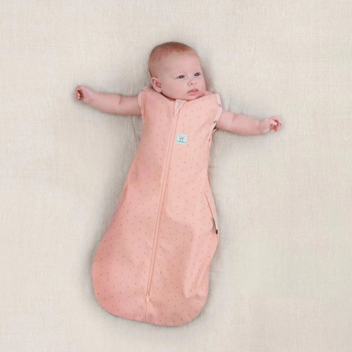 ErgoPouch 0.2 Tog Jersey Swaddle Bag 6-12 Months Berries Sleeping & Bedding (Swaddle Sleeping Bag) 9352240008577