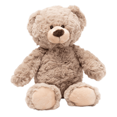 Petite Vous Billy the Bear Playtime & Learning (Toys) 745240371052