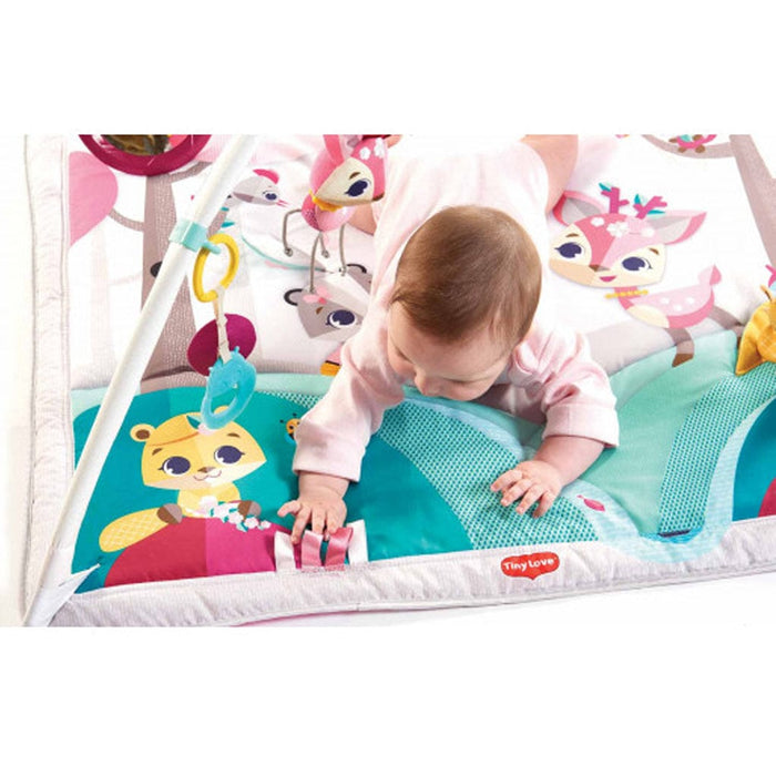 Tiny Love Tiny Princess Tales Gymini Deluxe Activity Gym Playtime & Learning (Toys) 7290108861198